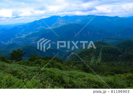 北海道の夏　大雪山　黒岳から　層雲峡の眺め 81196903