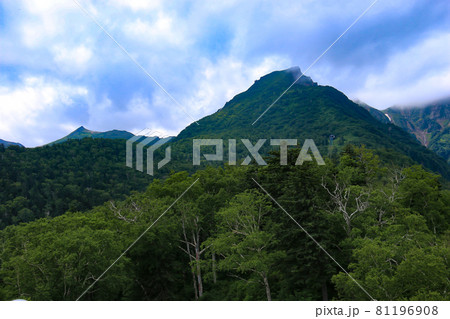 北海道の夏　大雪山　黒岳山頂への道 81196908