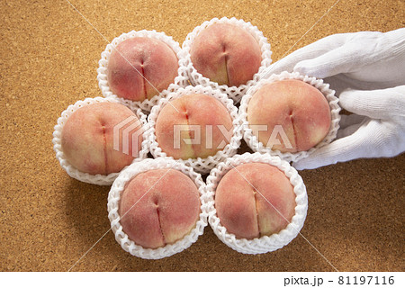 日本の旬の桃 81197116