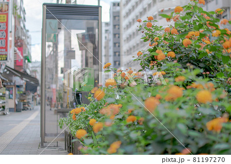 本郷通り沿いの電話ボックス／東京都北区西ヶ原 81197270