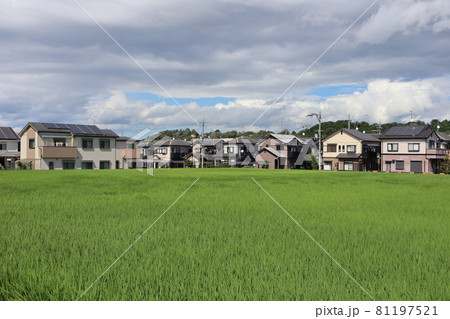 雲の多い空の日と住宅街にある緑の田んぼ 雲の多い空の日と住宅街にある緑の田んぼ 81197521