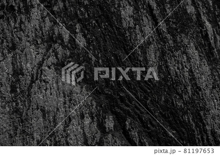 岩石の表面_岩のテクスチャ_背景 81197653