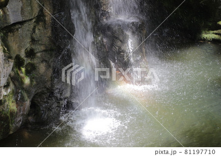 竜宮岩の滝と虹（岡山県真庭市新庄川）　Ryuguiwa, Okayama 81197710