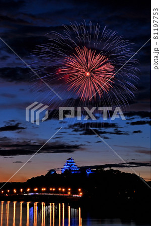 唐津城と九州花火大会 唐津城と九州花火大会 81197753
