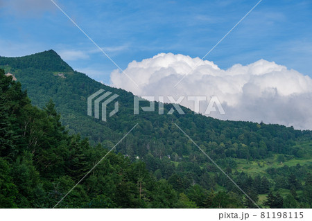 笠岳の夏雲 81198115