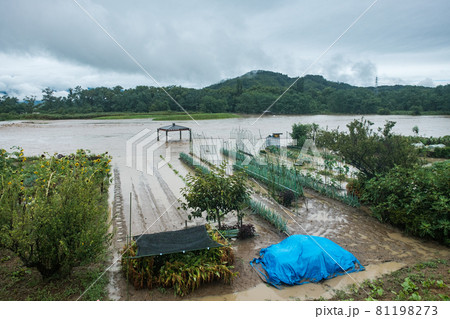 大雨で増水した川と水に浸かった畑 81198273