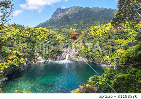 屋久島の風景 81198530