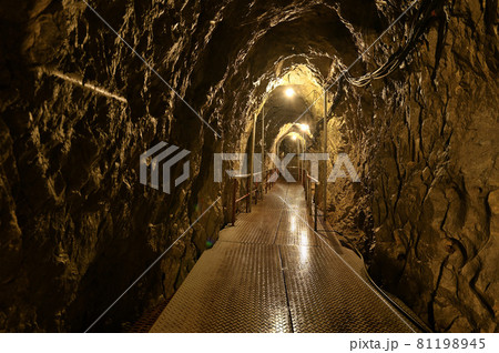 稲積水中鍾乳洞の洞内 稲積水中鍾乳洞の洞内 81198945