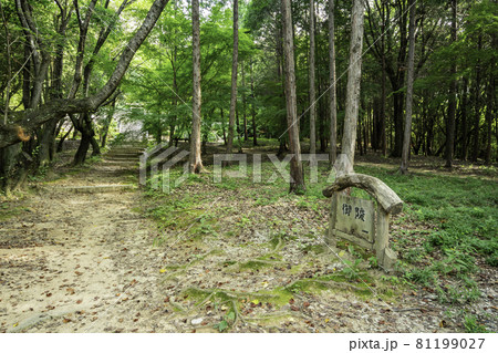 中山茶臼山古墳　大吉備津彦命墓　岡山県岡山市 81199027