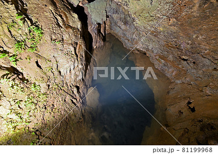 稲積水中鍾乳洞「水中の黄金石」 81199968