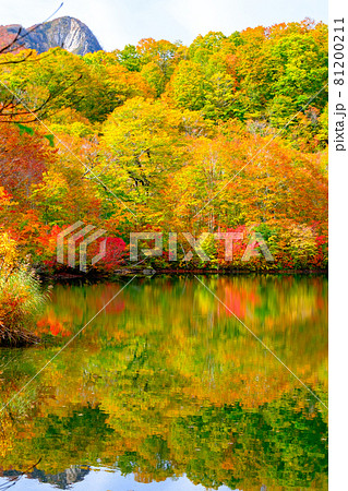 鎌池の紅葉 鎌池の紅葉 81200211