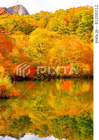 鎌池の紅葉 鎌池の紅葉 81200212