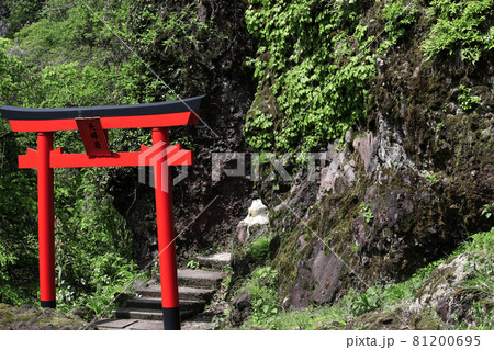 赤い鳥居と夫婦岩 81200695