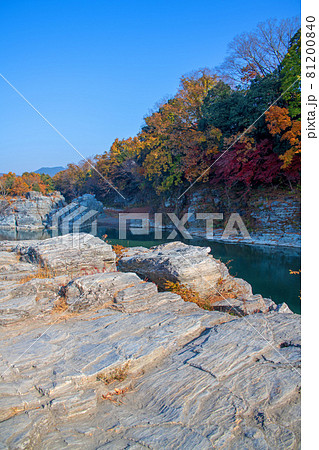 荒川　長瀞岩畳付近　秋の風景　紅葉の景色　　 81200840