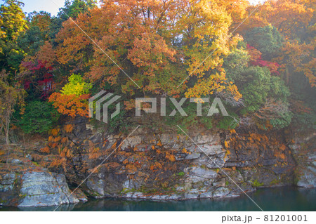 荒川 長瀞岩畳付近 秋の風景 紅葉の景色 荒川 長瀞岩畳付近 秋の風景 紅葉の景色 81201001