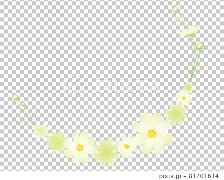 White Cosmos Wreath Akizakura [White] 81201614