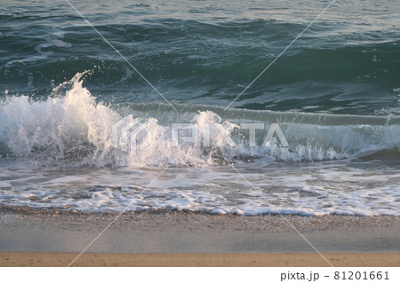 《鳥取県》早朝の宇野海岸からの風景 81201661