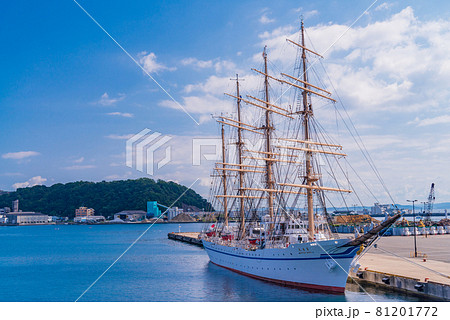 （神奈川県）久里浜港に停泊中の、日本丸 81201772