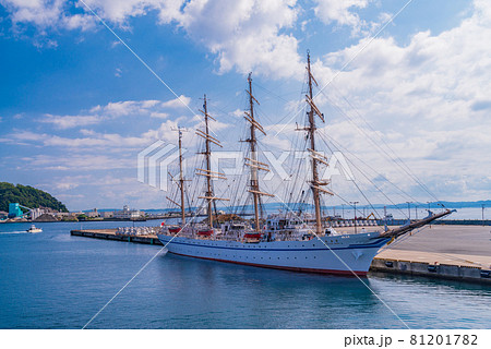 （神奈川県）久里浜港に停泊中の、日本丸 81201782