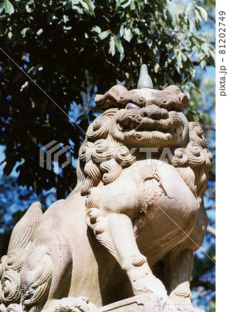 平成399 81202749