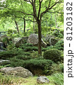 《神奈川県　箱根》強羅温泉の庭園 81203182