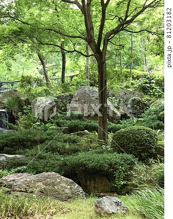 《神奈川県　箱根》強羅温泉の庭園 81203182
