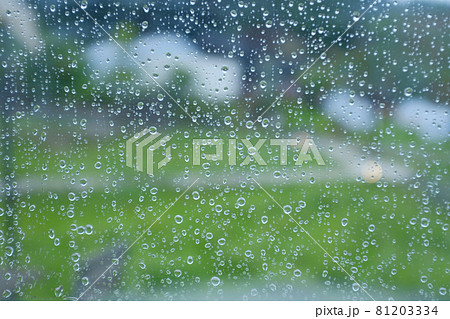 雨粒 81203334