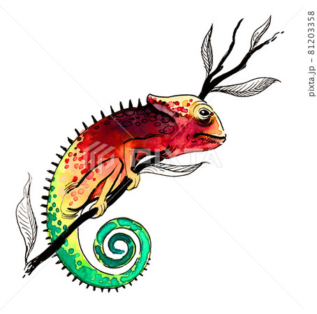 Colorful chameleon on tree branch. Ink and watercolor drawing 81203358
