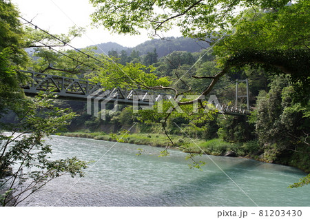 御岳渓谷遊歩道・楓橋 81203430