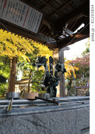 木更津・高倉観音の紅葉_1 81203834