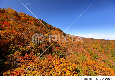 福島県二本松市奥岳温泉　あだたら山ロープウェイからの安達太良山の紅葉 81203907