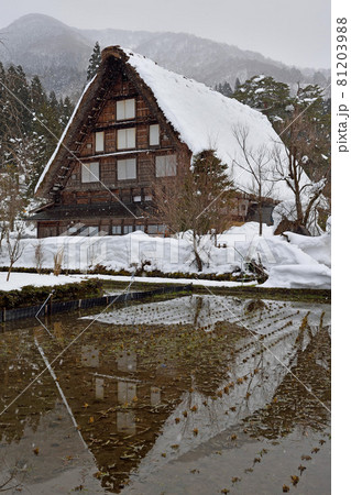 冬の白川郷・明善寺庫裡郷土館 81203988