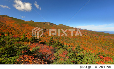 福島県二本松市奥岳温泉 薬師岳パノラマパークからの安達太良山の紅葉 福島県二本松市奥岳温泉 薬師岳パノラマパークからの安達太良山の紅葉 81204196