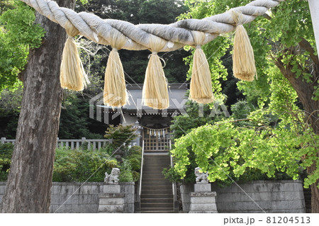 杉山神社、横浜市港北区 81204513