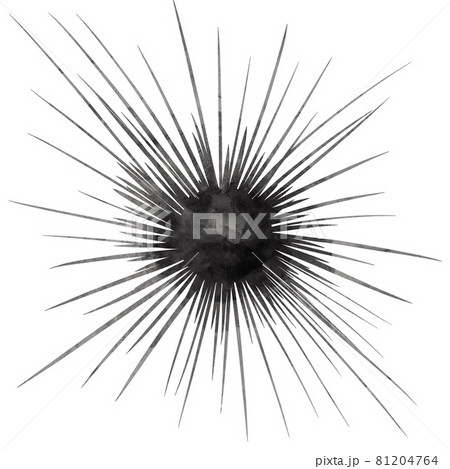 Watercolor illustration of fire sea urchin isolated on white background. 81204764