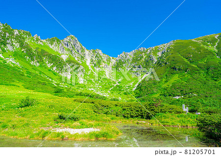夏の千畳敷カールの風景　【長野県】 81205701