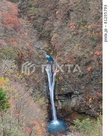 展望台から見おろす紅葉に囲まれた駒止の滝の情景＠那須、栃木 81205793