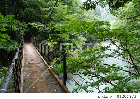 氷川渓谷遊歩道の登計橋 氷川渓谷遊歩道の登計橋 81205873