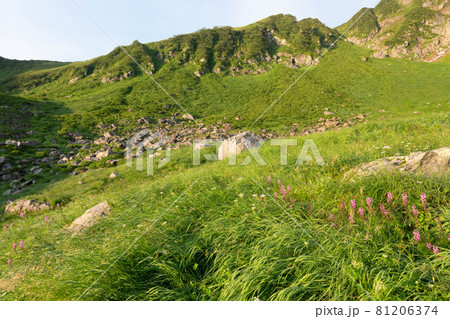 八ノ沢カールの朝 八ノ沢カールの朝 81206374