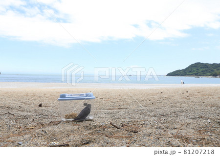 コザクラインコ 81207218