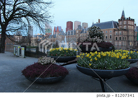 国会議事堂　オランダ　ハーグ 81207341