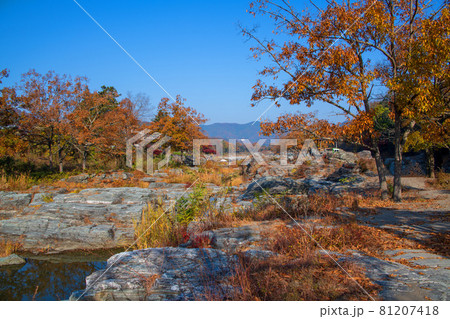 荒川 長瀞岩畳付近 秋の風景 紅葉の景色 荒川 長瀞岩畳付近 秋の風景 紅葉の景色 81207418