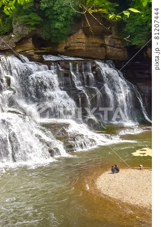 栃木県那須烏山市にある大蛇伝説が伝わる初夏の龍門の滝 81207444