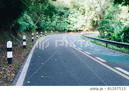 Road with bicycle lane in the country with nature surrounding. 81207513