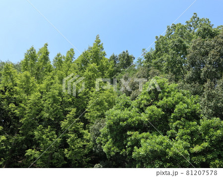 駅から5分の公園　西神中央公園　神戸市　西区 81207578