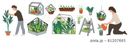 Orangery or hothouse, growth of plants and botany 81207665