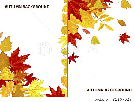 Autumn background, fall season frame with leaf Autumn background, fall season frame with leaf 81207925