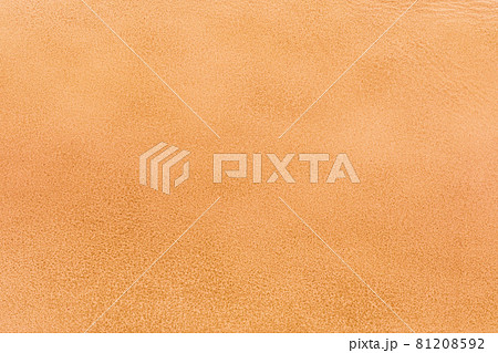 革のアップ 革のアップ 81208592