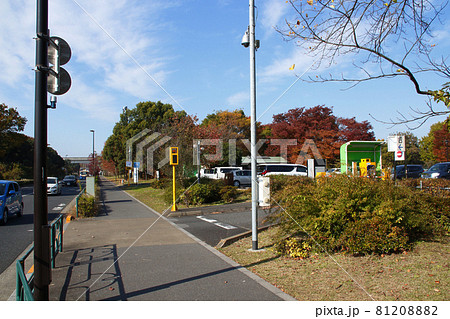 舎人公園第2駐車場にて（駐車場入口） 81208882