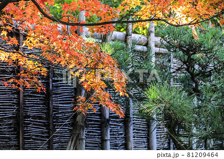 秋の友泉亭 81209464